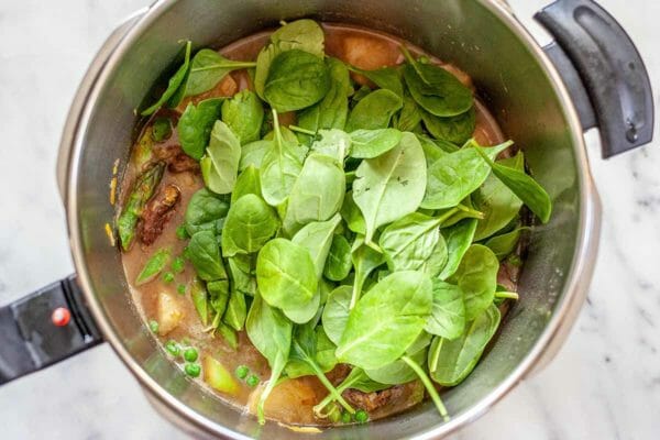 Lamb Stew - lamb stew in pot with spinach